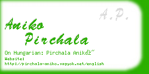 aniko pirchala business card